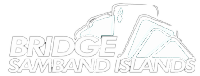 Inverted Logo
